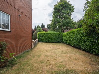 Picture 13